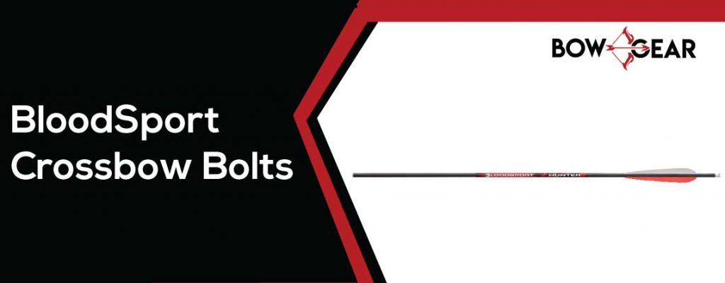 BloodSport-20-Inch-Crossbow-Bolts