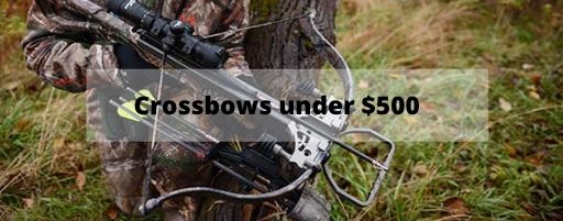 crossbows under 500