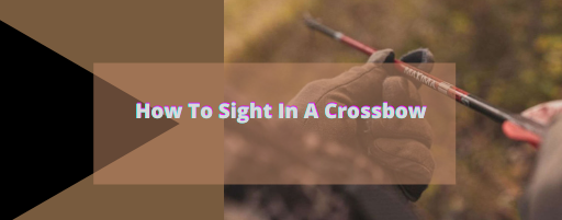 How to sight in a crossbow